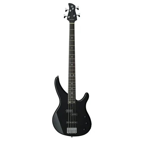 Bass guitar