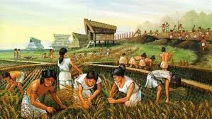 Neolithic Revolution