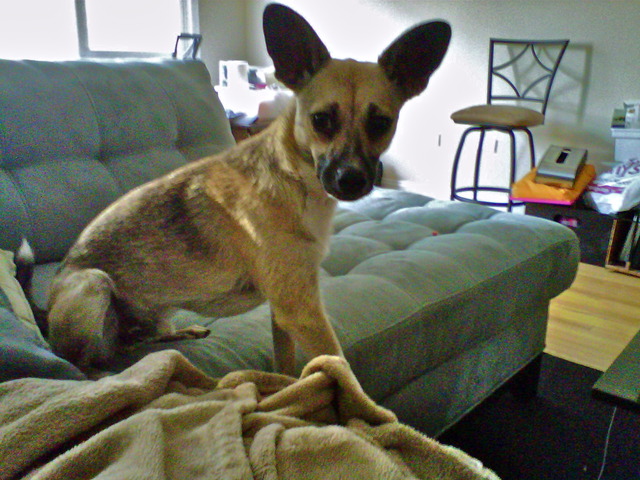 Hanging with Gumption