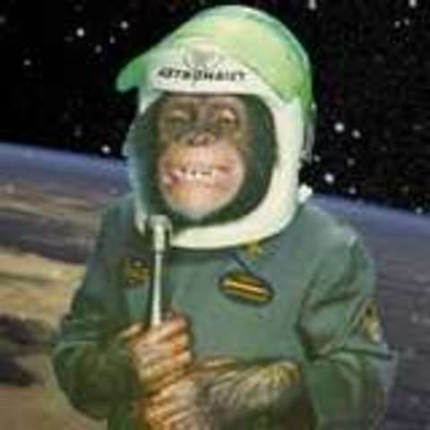 first animal in space a rhesus monkey