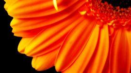 Timeline: My Weekend