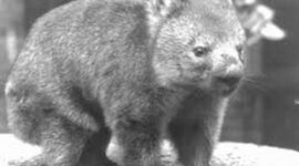 Timeline: April 20th