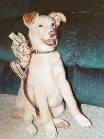 Phoebe joins the family.