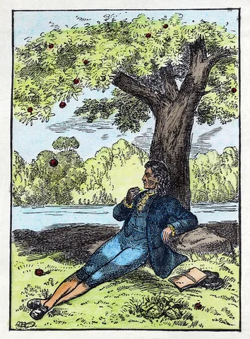 Newton sees an apple falling