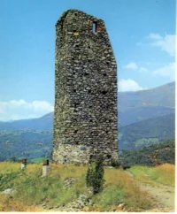 Rivolta dei Tuchini (1386)