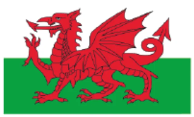 King Ynyr Fychan of Gwent