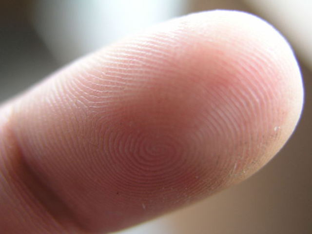 Fingerprints Form