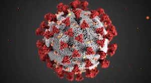 Covid-19 Pandemic