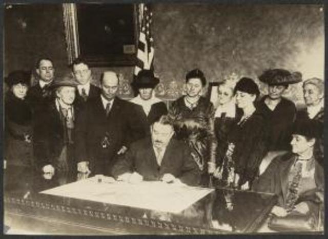 Federal Woman Suffrage Amendment
