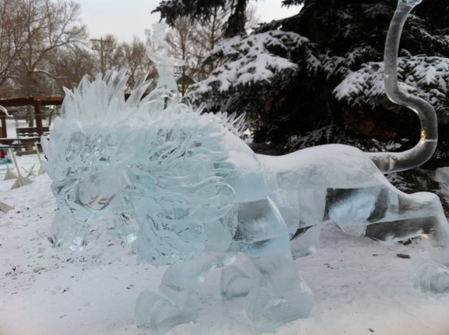 Curriculum 2: Ice on Whyte Field Trip