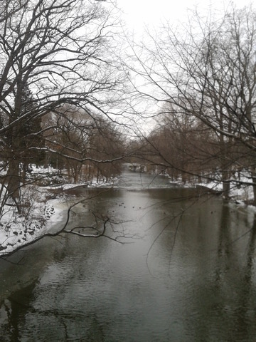 Red Cedar River Picture 1