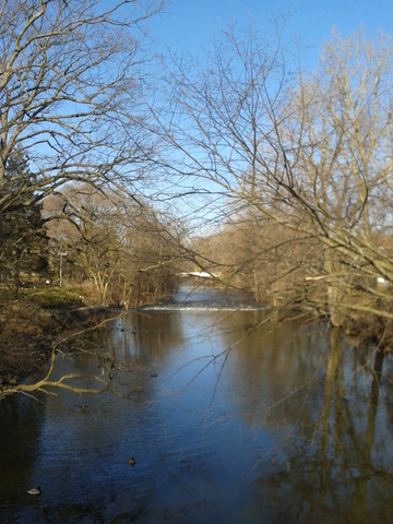 Red Cedar River Picture 2