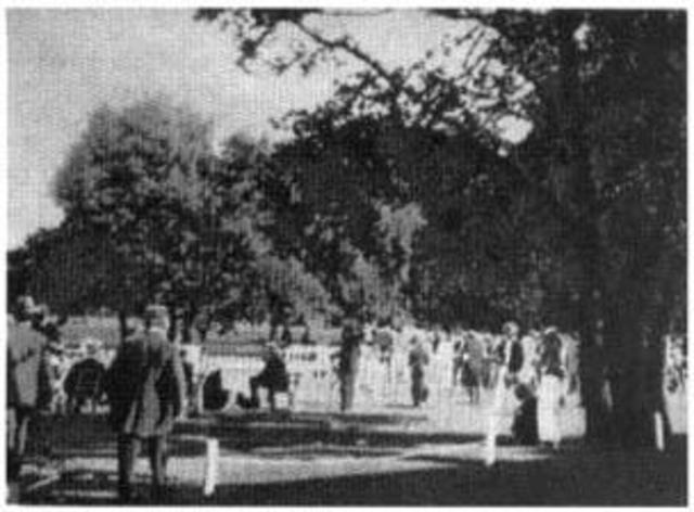 Croquet and the Olympics