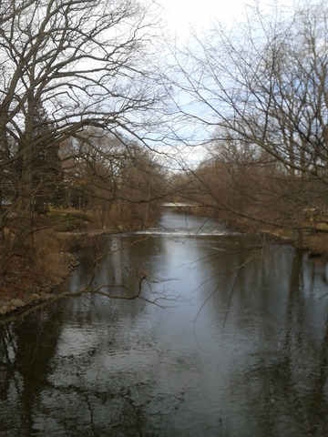 Red Cedar River Picture 3