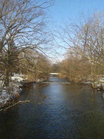 Red Cedar River Picture 4
