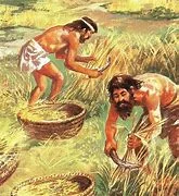 L'inici de l'agricultura