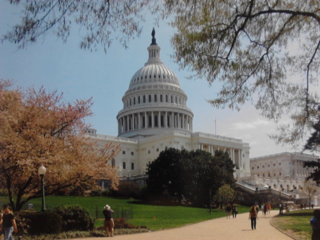 El Viaje a Washington D.C.