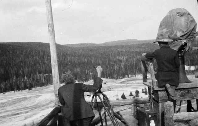 The industry got popularity from across the world