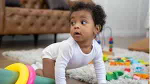 Sensorimotor Intelligence