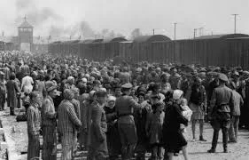 The Final Solution
