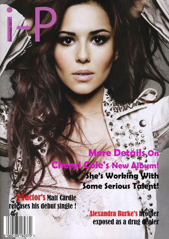 Research / case studies (individual work)