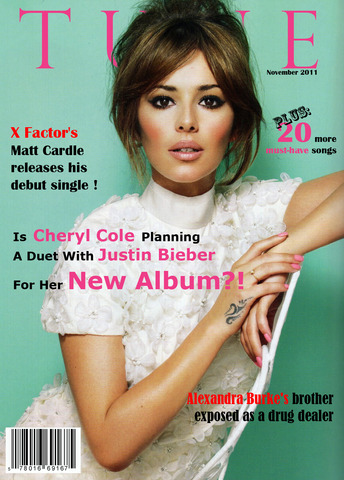 Drafting and finalizing house styles, drafts and layouts (group / individual)