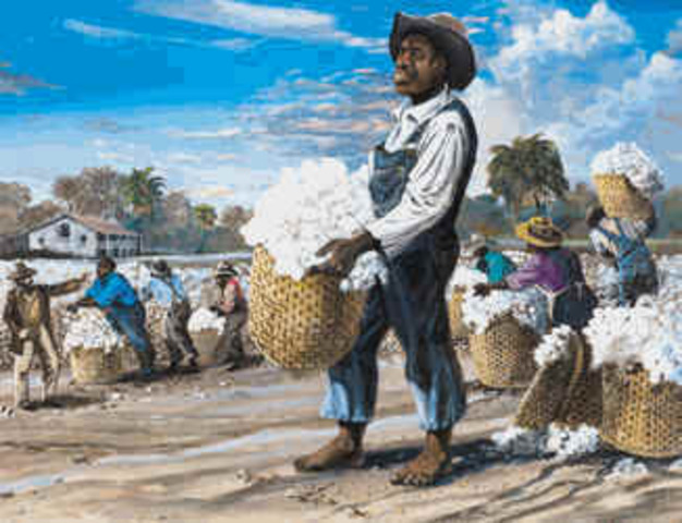 Slavery begins with cotton