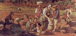 Zaključak o optimizmu