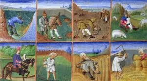 Prijatelji u zajednici