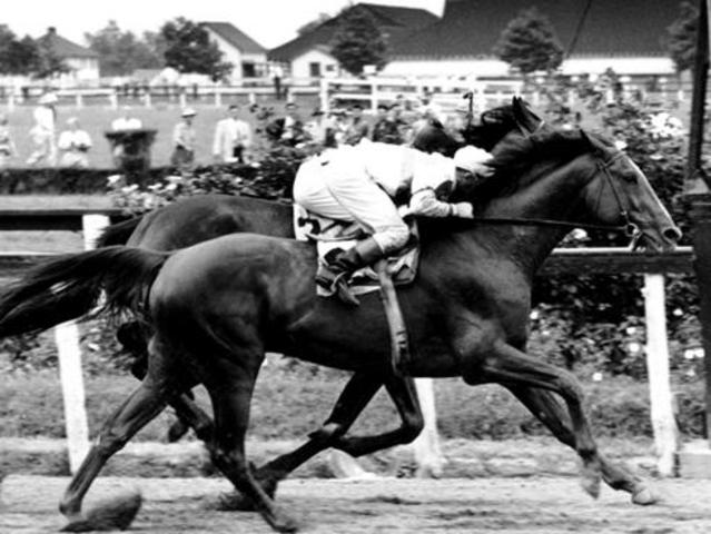 War Admiral