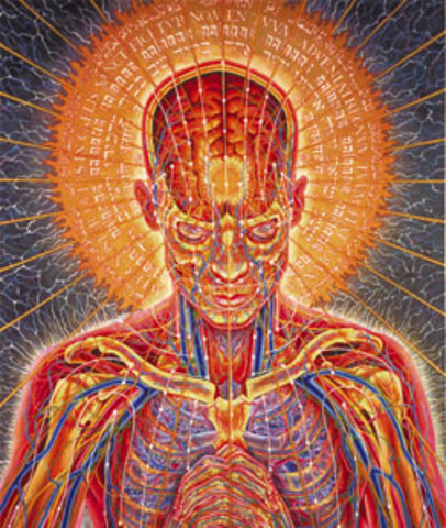 Somatic Understanding