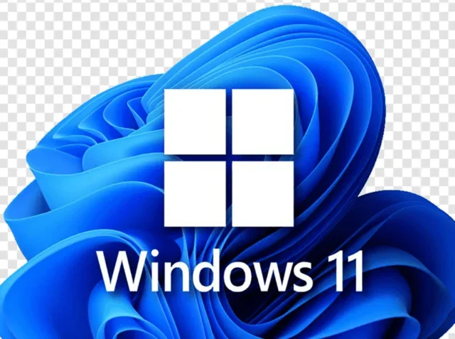 2021 WINDOWS 11