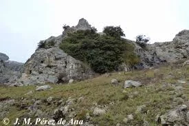 Bolinkoba (Abadiño)