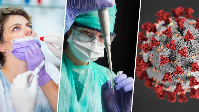 Pandemic Media