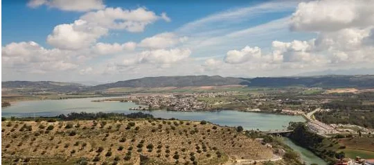 BATALLA DE GUADALETE