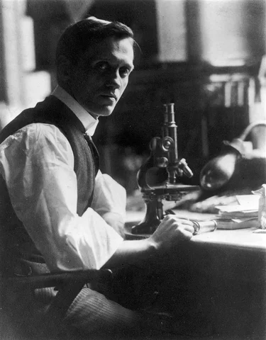 Fleming scopre la Penicillina