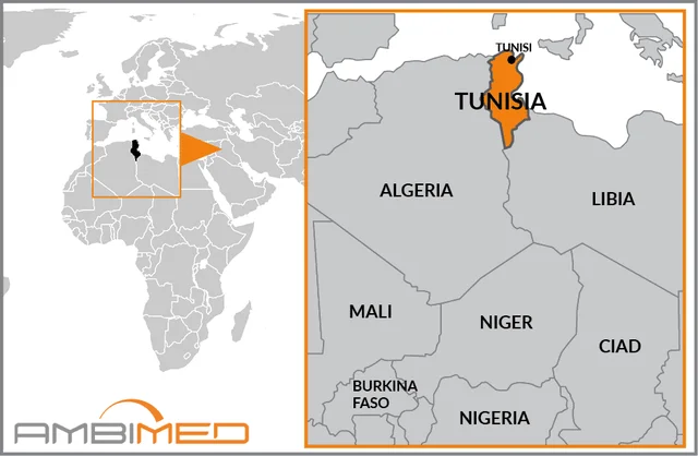 Indipendenza Tunisia e Marocco da Francia