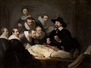 La lliçó d’anatomia