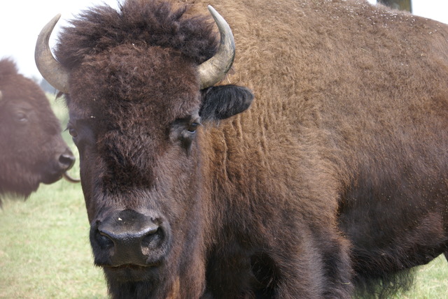 Graduated High School