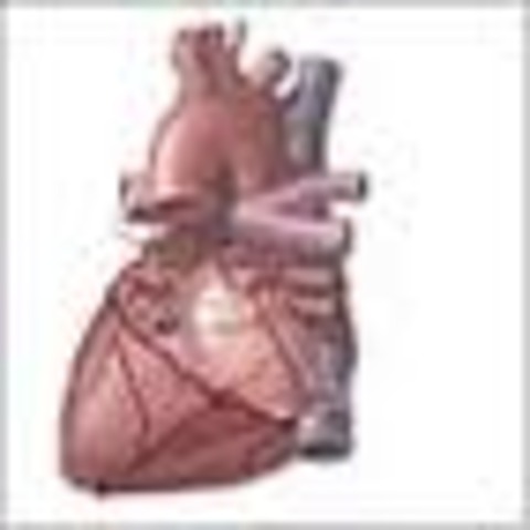 The third person to recieve an artificial heart recieves the implant.