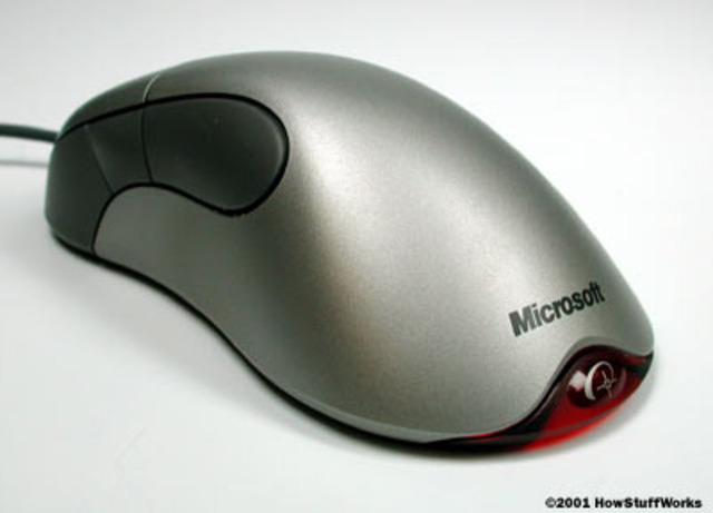 Computer mouse and Windows