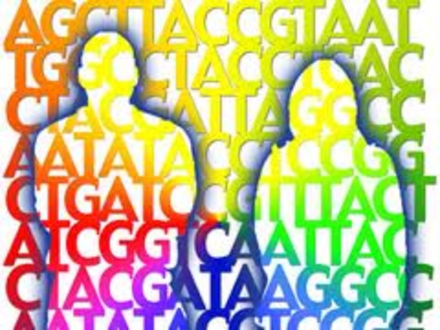 Completion of the Human Genome Project