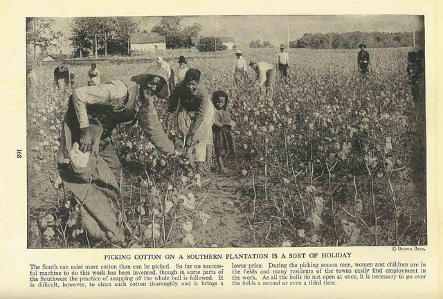 Took to another Plantation