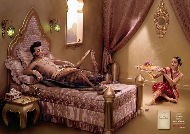 Viviendo con el Insecto