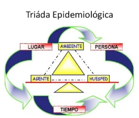 Otras nociones de causas