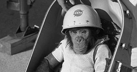 Monkeys in space