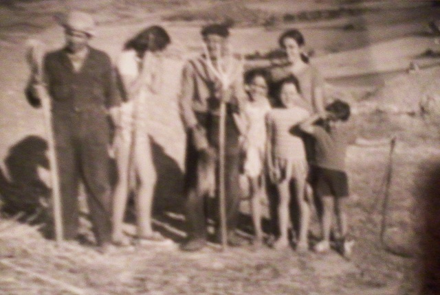 Trabaja con sus padres en el campo