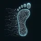 Digital footprint header 1