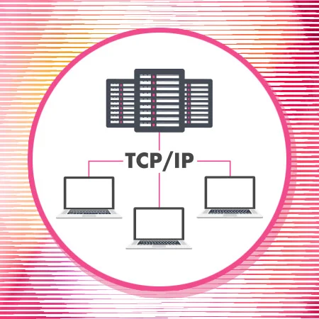ARPANET switches to TCP/IP