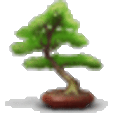 time toast presentation